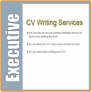 Top 10 Resume Writing Services for Executives in 2018